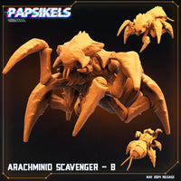 pap-2405s05 ARACHMINID SCAVENGER B