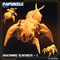 pap-2405s06 ARACHMINID SCAVENGER C