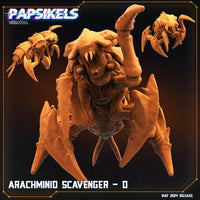 pap-2405s07 ARACHMINID SCAVENGER D