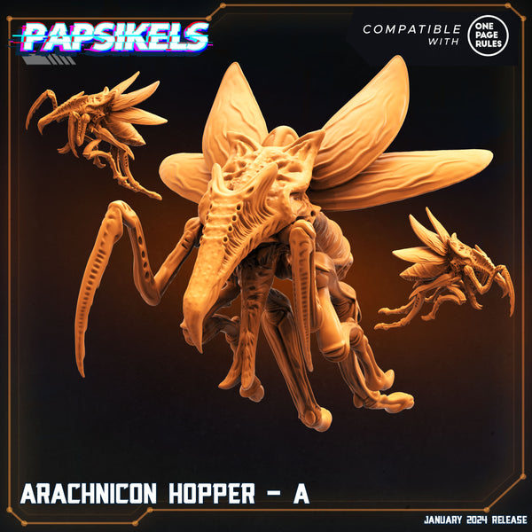 pap-2401s01 ARACHNICON HOPPER A
