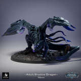 Lop-260201 Adult Shadow Dragon