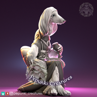 Ppnk-240301 Afghan Hound noble Lady