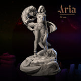 DnM-240101 Aria