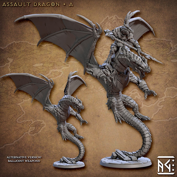 ag-230601 Assalut Dragon & Dragonrider A