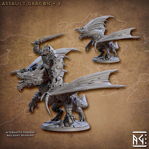 ag-230602 Assalut Dragon & Dragonrider B