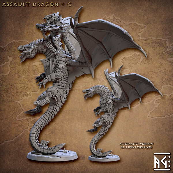 ag-230603 Assalut Dragon & Dragonrider C