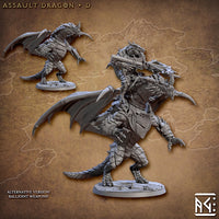 ag-230604 Assalut Dragon & Dragonrider D