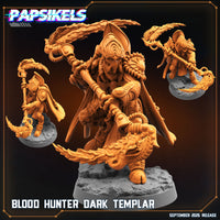 pap-2509s04 BLOOD HUNTER DARK TEMPLAR