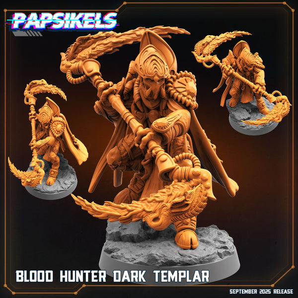 pap-2509s04 BLOOD HUNTER DARK TEMPLAR