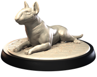 3ip-dg1012 BULL TERRIER