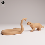 Anml-250804 Honey Badger vs Black Mamba(ミツアナグマVSブラックマンバ)