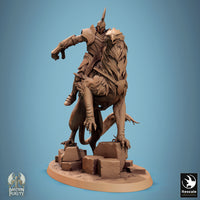 Lop-240959 Gryph StanceA