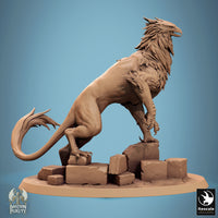 Lop-240959 Gryph StanceA