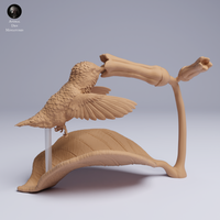 Anml-250501 bee hummingbird fly