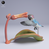 Anml-250501 bee hummingbird fly