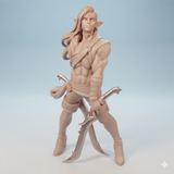 Twin-260701 Bellissimo the Elf Bladesinger