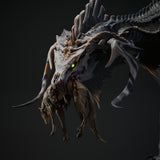 Lop-260301 Black Dragon Hunt