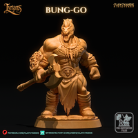 Ccm-250701 Bunggo
