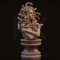 Nrk-250705 Medusa Bust