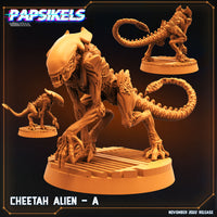 pap-2211s03 CHEETAH ALIEN A