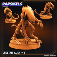 pap-2211s08 CHEETAH ALIEN F