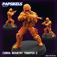 pap-2508c02 COBRA INFANTRY TROOPER 2