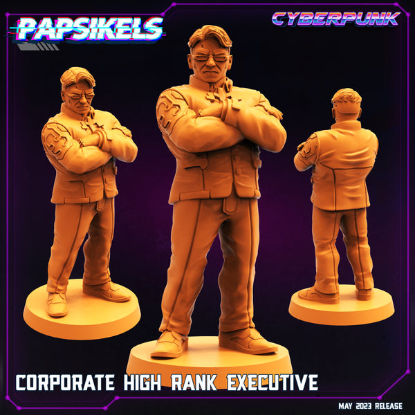 pap-2305c04 CORPORATE HIGH RANK EXECUTIVE