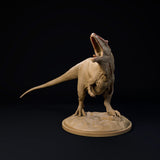 DinD-240814 Carcharadontosaurus roar 32mm