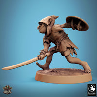 Lop-250118 Goblin Sword Shield Slash