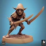 Lop-250106 Goblin Dual Sword Stance B