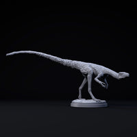 DinD-240702 Compsognathus sneaking