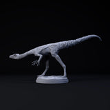 DinD-240702 Compsognathus sneaking