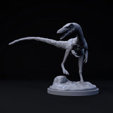 DinD-240703 Compsognathus surprised