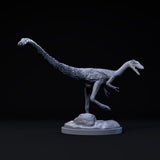 DinD-240703 Compsognathus surprised