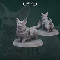 Gaa-241001 Corgi Adventurer