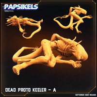 pap-2209s02 DEAD PROTO KEELER A