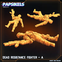 pap-2308s02 DEAD RESISTANCE FIGHTER A