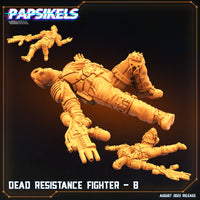 pap-2308s03 DEAD RESISTANCE FIGHTER B