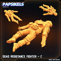 pap-2308s04 DEAD RESISTANCE FIGHTER C