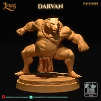 Ccm-250702 Darvan