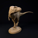 DinD-2412103 Daspletosaurus attention （ダスプレトサウルス）