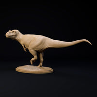 DinD-2412103 Daspletosaurus attention （ダスプレトサウルス）