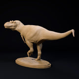 DinD-2412103 Daspletosaurus attention （ダスプレトサウルス）