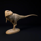 DinD-2412103 Daspletosaurus attention （ダスプレトサウルス）