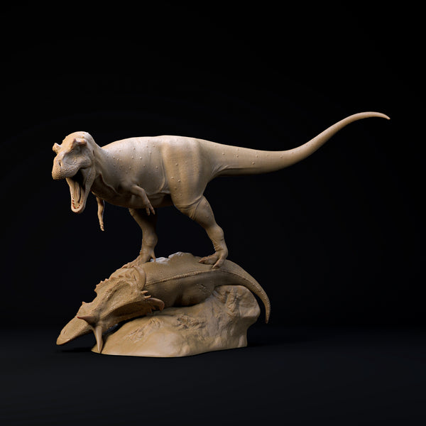 DinD-2412104 Daspletosaurus king