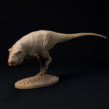 DinD-2412105 Daspletosaurus sneaking (ダスプレトサウルス)