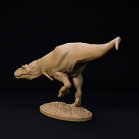 DinD-2412105 Daspletosaurus sneaking (ダスプレトサウルス)