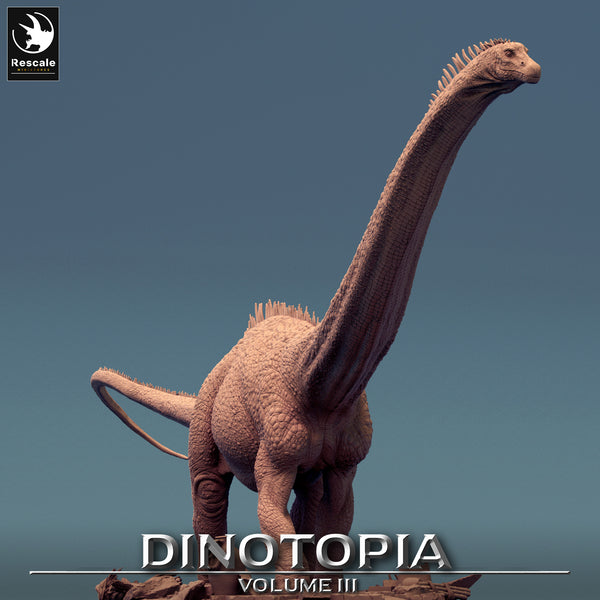 Lop-240635 Diplodocus