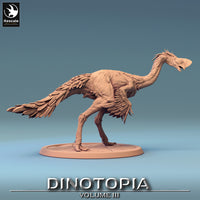 Lop-240642 Oviraptor Stare