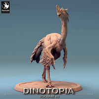 Lop-240643 Oviraptor Turn